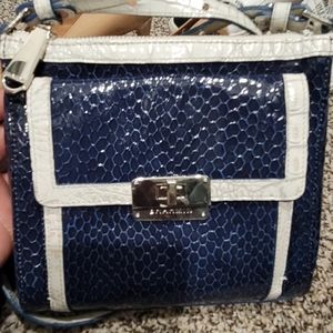 Brahmin wallet and Sachtel